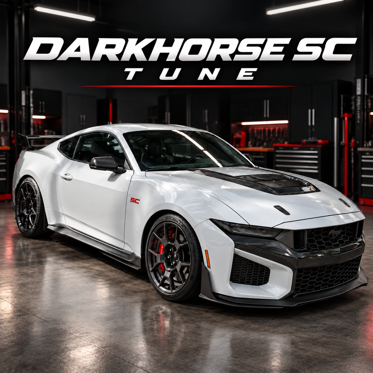 Darkhorse SC Tune